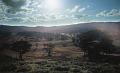 Geology field trip, near Armidale, New England